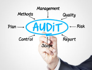 photodune-11274766-audit-xs